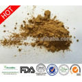 Tribulus Terrestris Extracto natural de calidad superior 40% Protodioscina